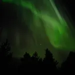 Lapland Forest 로바니에미