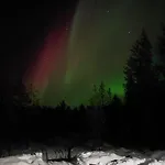Lapland Forest Appartement *