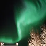 Lapland Forest 아파트 로바니에미