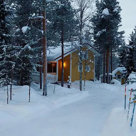 Lapland Forest