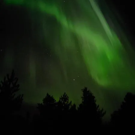 Lapland Forest Рованиеми