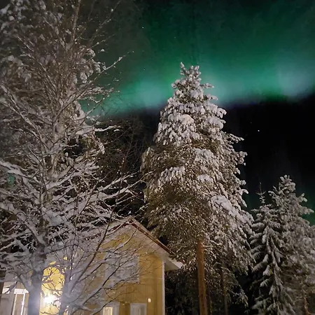 Lapland Forest