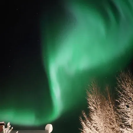 Lapland Forest Huoneisto Rovaniemi