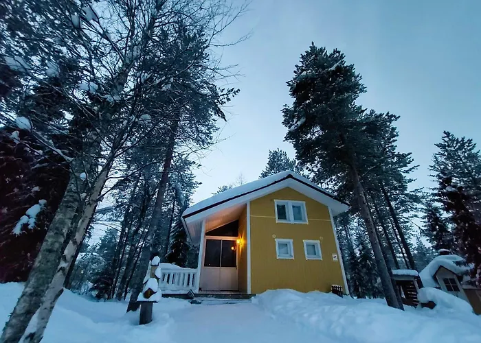 Lapland Forest * 로바니에미