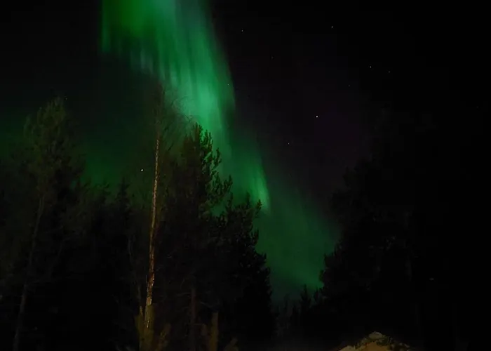 Lapland Forest 아파트 *