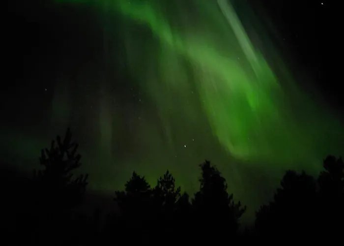 Lapland Forest 로바니에미