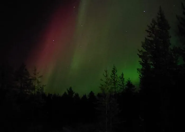 Lapland Forest 아파트 *