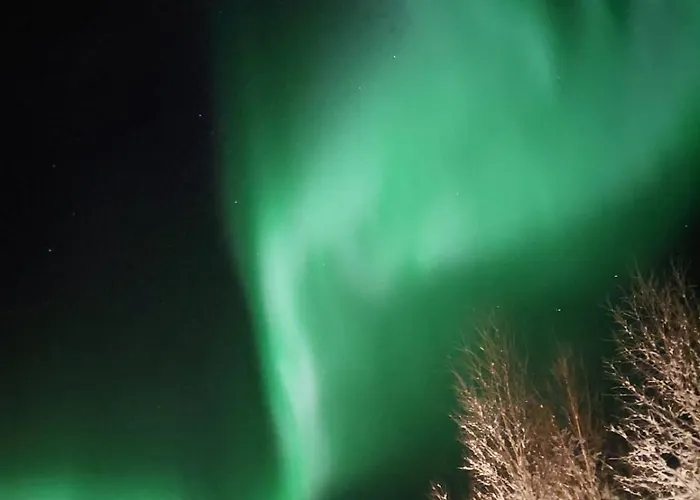 Lapland Forest 아파트 로바니에미